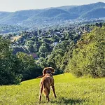 Harz-fewo Weitsicht, Modern & Ruhig Mit 2 Balkonen, Jura Kaffeevollautomat, Kaminofen, Gaeste Mit Hund Willkommen باد هازبرغ