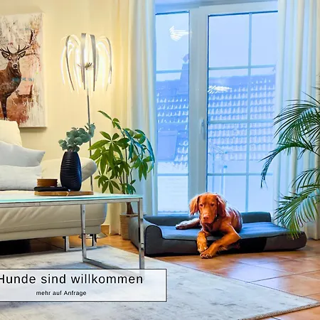 Harz-fewo Weitsicht, Modern & Ruhig Mit 2 Balkonen, Jura Kaffeevollautomat, Kaminofen, Gaeste Mit Hund Willkommen * Bad Harzburg