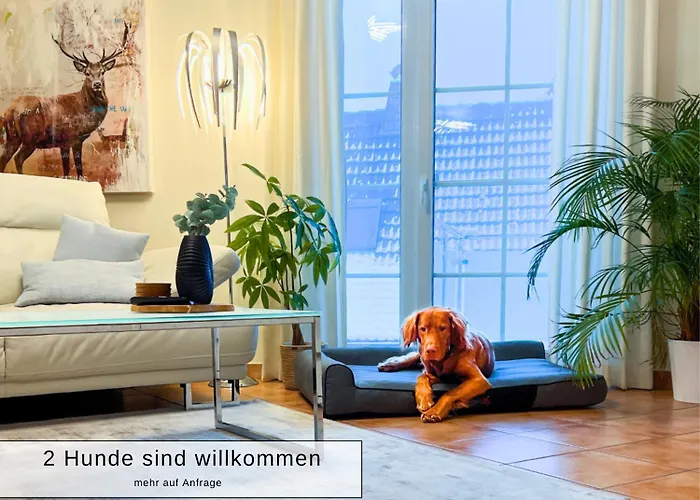Harz-fewo Weitsicht, Modern & Ruhig Mit 2 Balkonen, Jura Kaffeevollautomat, Kaminofen, Gaeste Mit Hund Willkommen * באד הרצבורג