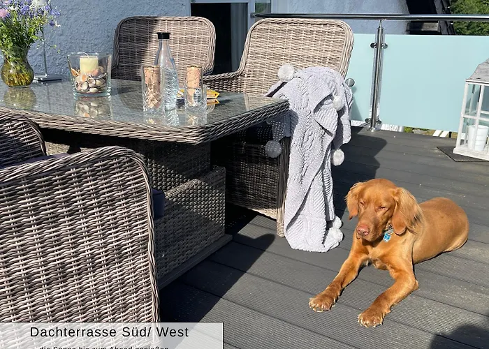 Harz-fewo Weitsicht, Modern & Ruhig Mit 2 Balkonen, Jura Kaffeevollautomat, Kaminofen, Gaeste Mit Hund Willkommen