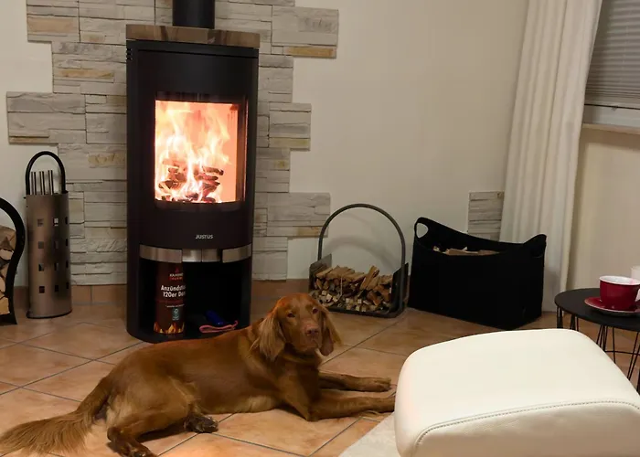 Harz-fewo Weitsicht, Modern & Ruhig Mit 2 Balkonen, Jura Kaffeevollautomat, Kaminofen, Gaeste Mit Hund Willkommen